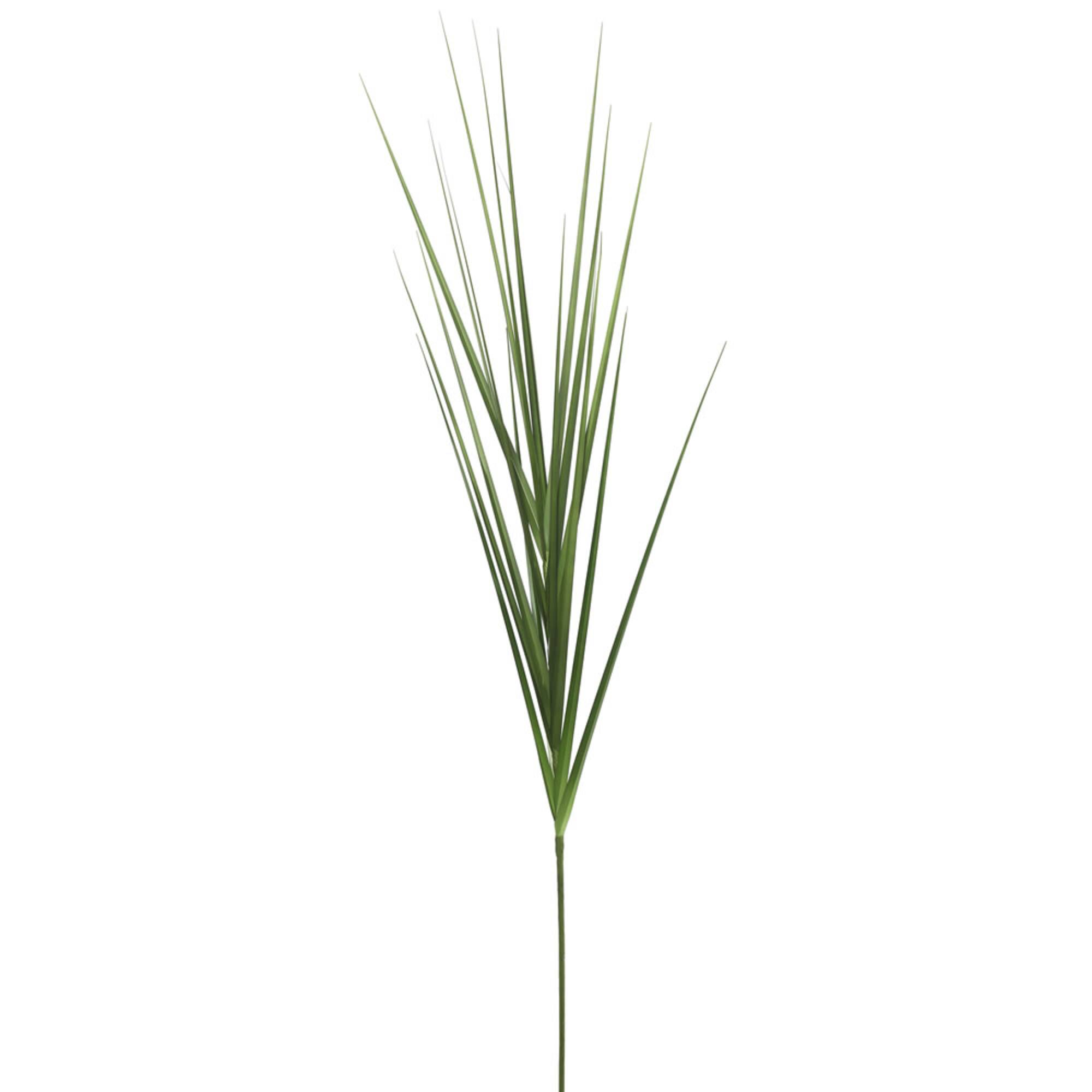Green Grass Spray, 6ct.